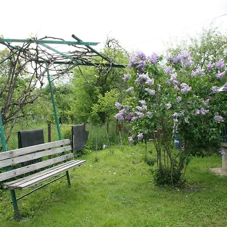 Homestay Sadiba Pri Dorogi *