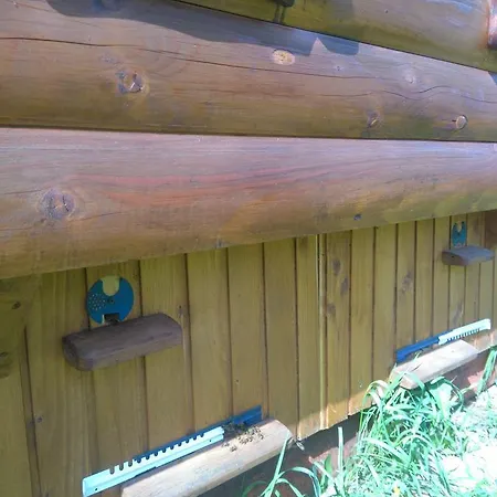 Sadiba Pri Dorogi Alloggio in famiglia Kosiv