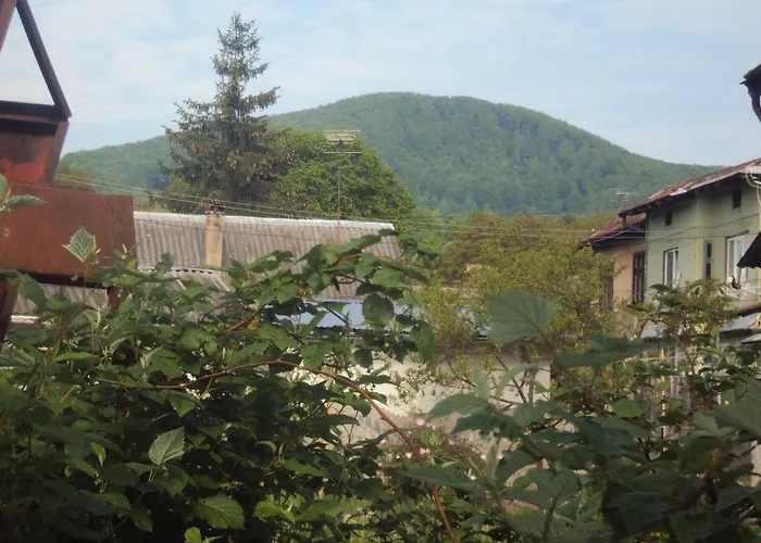 Homestay Sadiba Pri Dorogi Kosiv